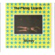 FLYING LIZARDS - Money